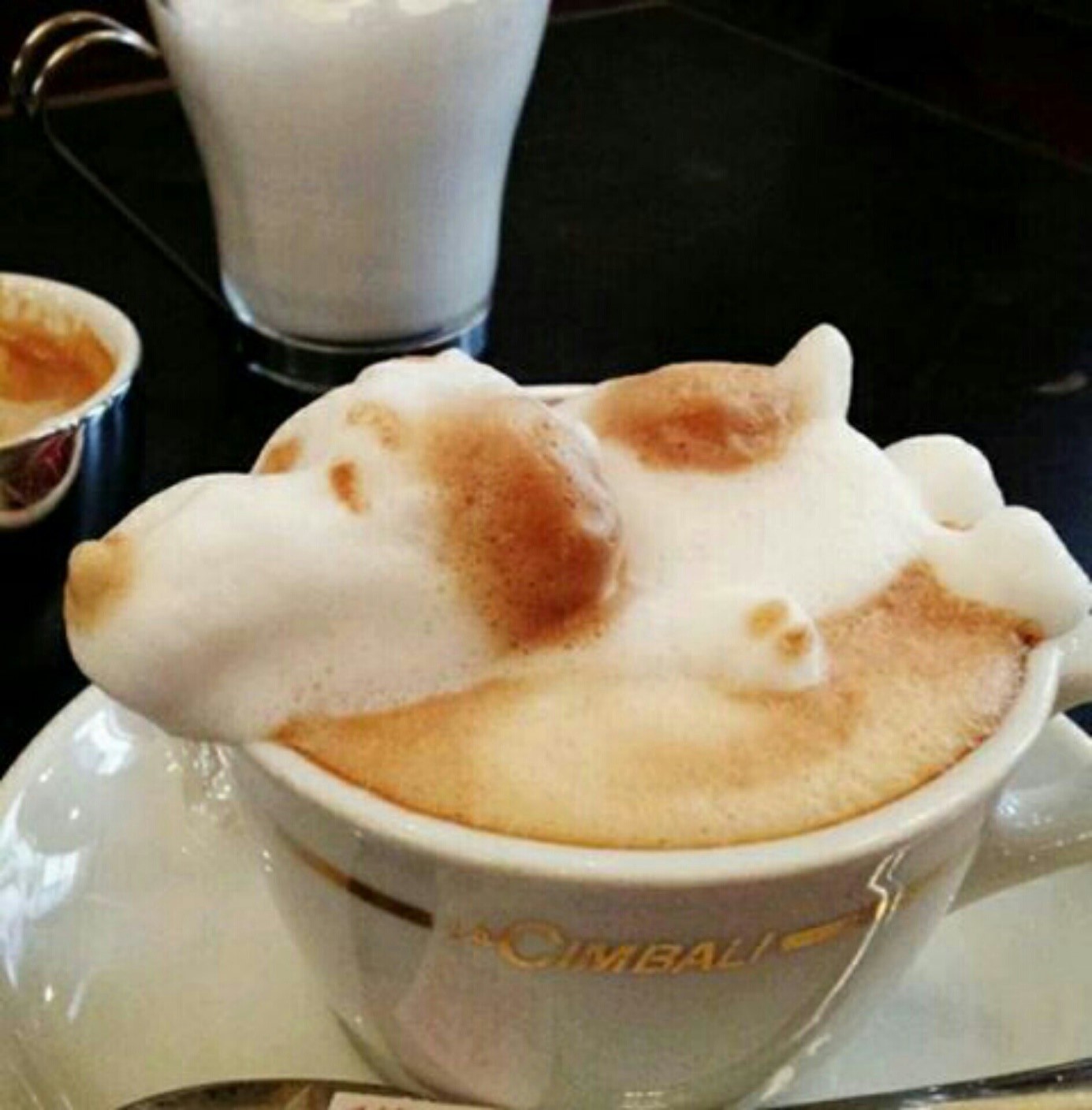 1 Snoopy