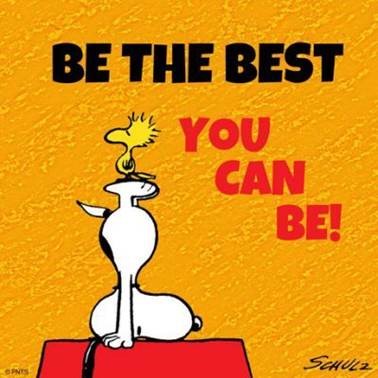 Be the Best you can be klein