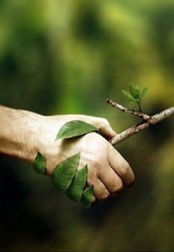 Handshake