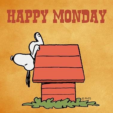 Happy Monday klein