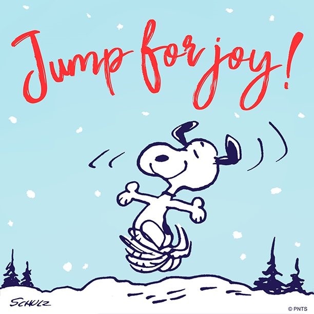 Jump for joy klein