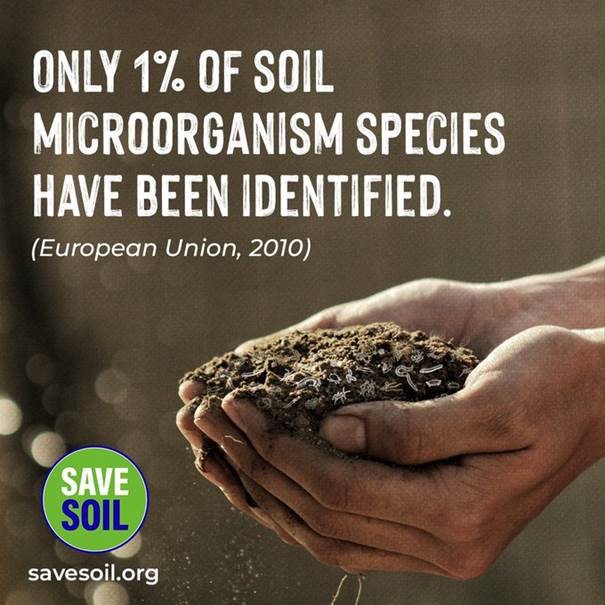 Microorganisms