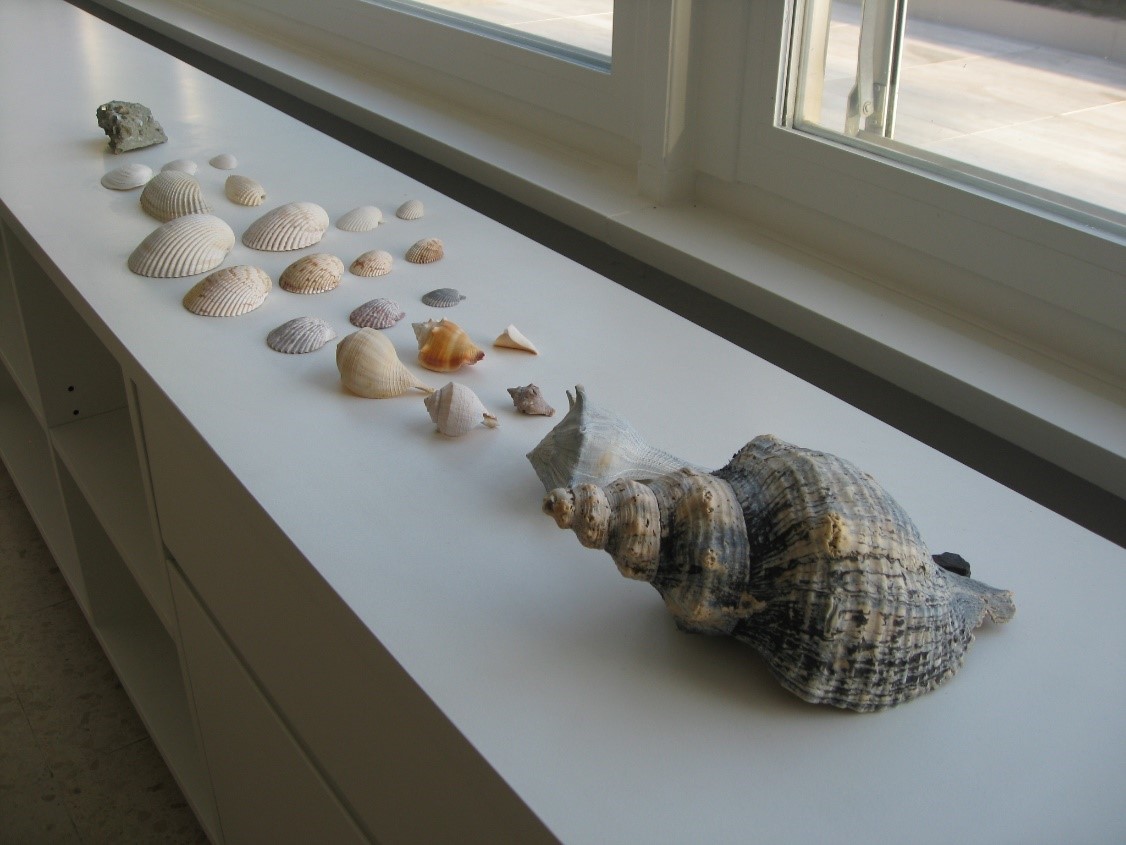 Shells klein