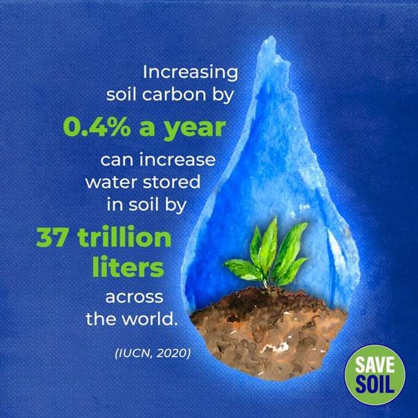 Soil Carbon