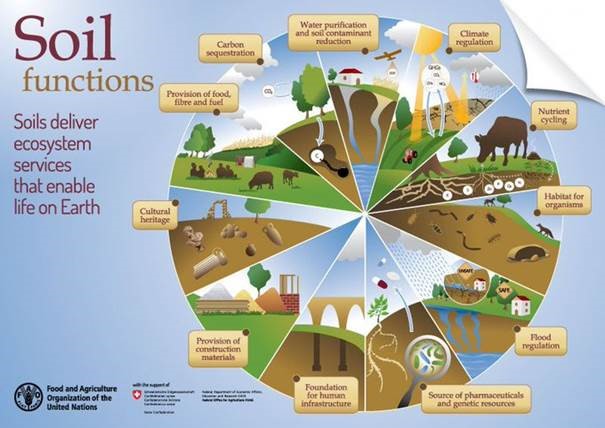 Soil Functions