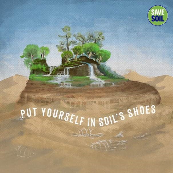 Soils Shoes