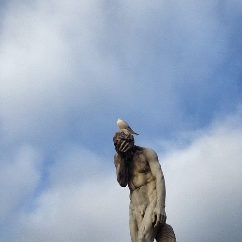 Statue Pigeon